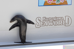 KamogawaSeaWorld2024_57