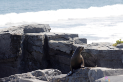 KamogawaSeaWorld2024_64