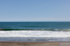 KamogawaSeaWorld2024_68