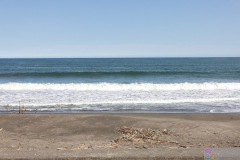 KamogawaSeaWorld2024_76