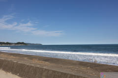 KamogawaSeaWorld2024_78