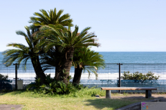 KamogawaSeaWorld2024_79