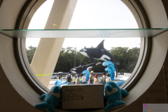 KamogawaSeaWorld2024_81