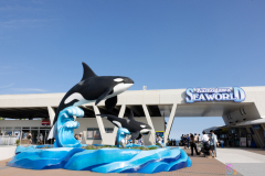 KamogawaSeaWorld2024_82