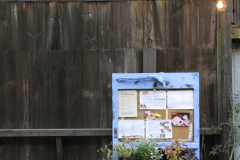 KitahamaAlley2012_05