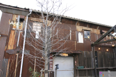 KitahamaAlley2012_06