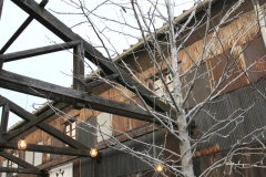 KitahamaAlley2012_08