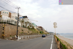 kokomae_2007_16