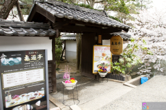 Kurashiki2012_020