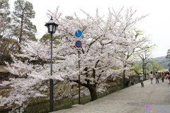 Kurashiki2012_022