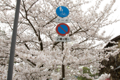 Kurashiki2012_024