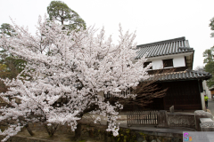 Kurashiki2012_027