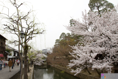 Kurashiki2012_034