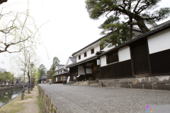 Kurashiki2012_037