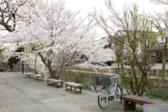 Kurashiki2012_043