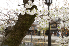 Kurashiki2012_045