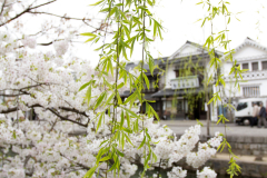 Kurashiki2012_046