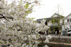 Kurashiki2012_047