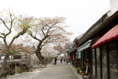 Kurashiki2012_050