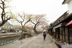 Kurashiki2012_051