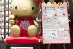 Kurashiki2012_056