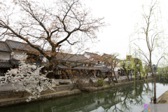 Kurashiki2012_063