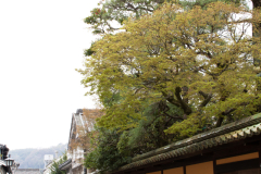 Kurashiki2012_083