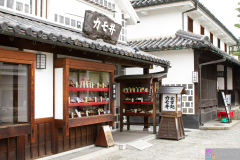 Kurashiki2012_096