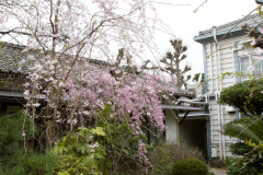 Kurashiki2012_102