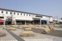 Marugame2012_11