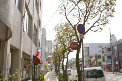 Marugame2012_13