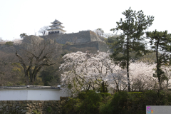 Marugamejo2012_003