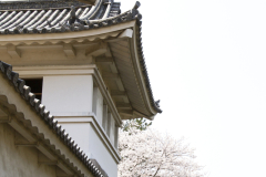 Marugamejo2012_006