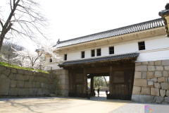 Marugamejo2012_007