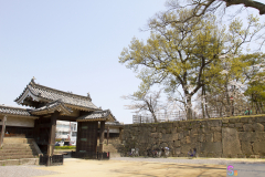Marugamejo2012_011