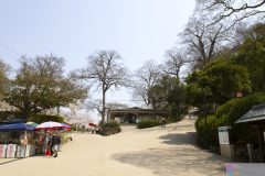 Marugamejo2012_016
