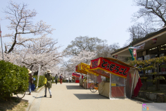 Marugamejo2012_017