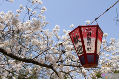 Marugamejo2012_027