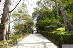 Marugamejo2012_036