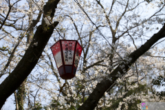 Marugamejo2012_037
