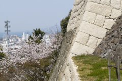 Marugamejo2012_043