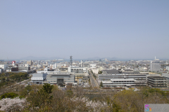 Marugamejo2012_048
