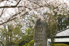 Marugamejo2012_054