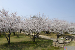 Marugamejo2012_063