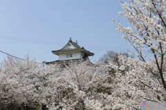 Marugamejo2012_067