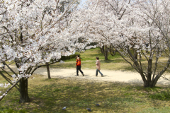 Marugamejo2012_069