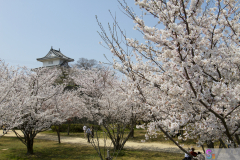 Marugamejo2012_070