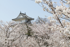 Marugamejo2012_071
