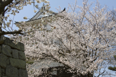 Marugamejo2012_075