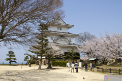 Marugamejo2012_077
